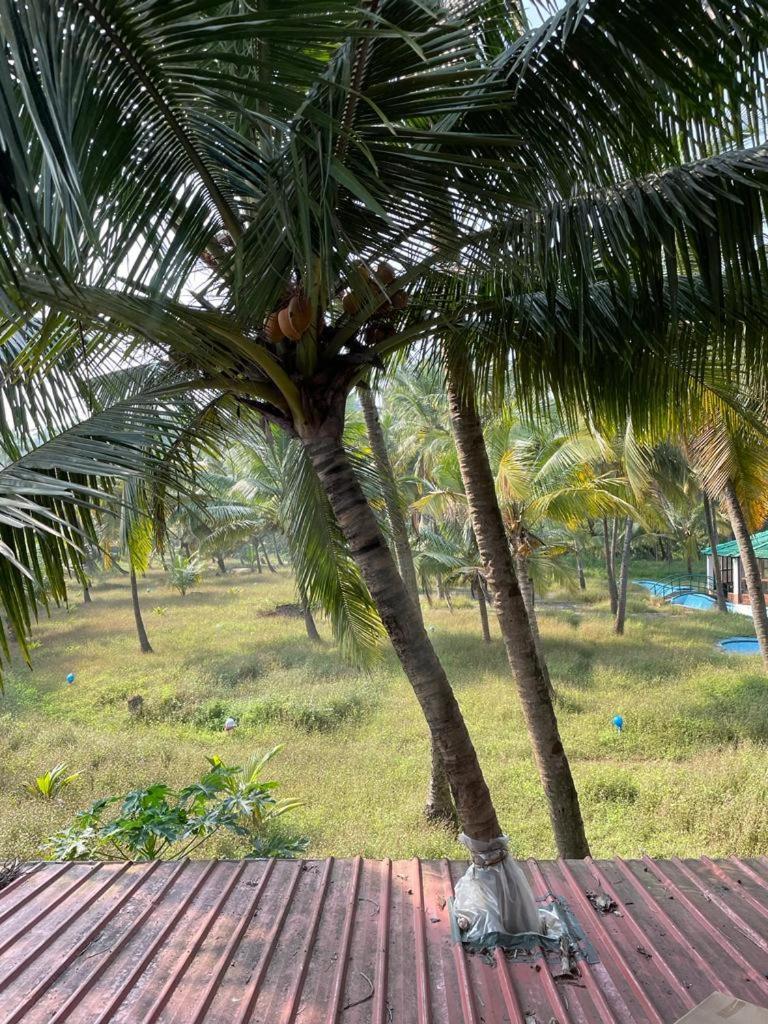 Joets Guesthouse บอกมาโล ภายนอก รูปภาพ